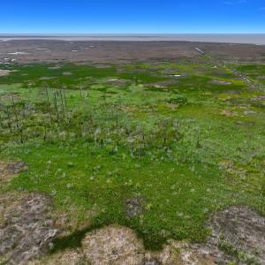 Photo #17 of Off Farrow Rd, Swan Quarter, NC 90.0 acres