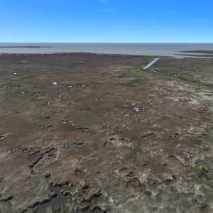 Photo #18 of Off Farrow Rd, Swan Quarter, NC 90.0 acres