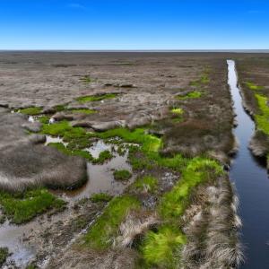 Photo #19 of Off Farrow Rd, Swan Quarter, NC 90.0 acres