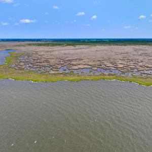 Photo #1 of Off Farrow Rd, Swan Quarter, NC 90.0 acres