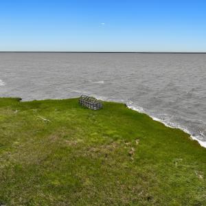 Photo #4 of Off Farrow Rd, Swan Quarter, NC 90.0 acres