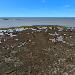 Photo #5 of Off Farrow Rd, Swan Quarter, NC 90.0 acres
