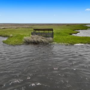 Photo #7 of Off Farrow Rd, Swan Quarter, NC 90.0 acres