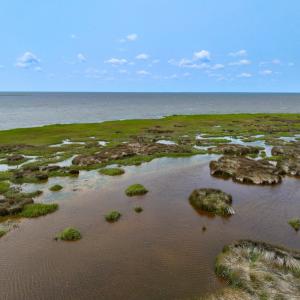Photo #22 of Off Farrow Rd, Swan Quarter, NC 90.0 acres