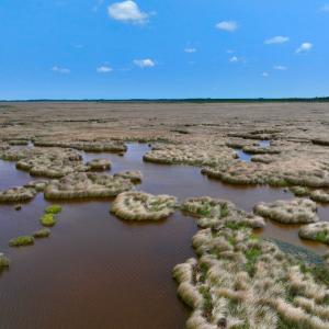 Photo #24 of Off Farrow Rd, Swan Quarter, NC 90.0 acres