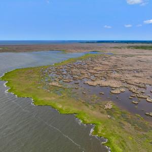 Photo #26 of Off Farrow Rd, Swan Quarter, NC 90.0 acres