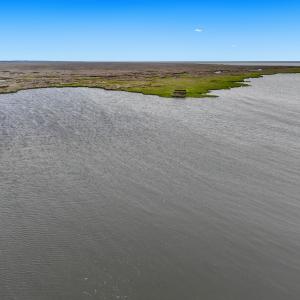 Photo #27 of Off Farrow Rd, Swan Quarter, NC 90.0 acres