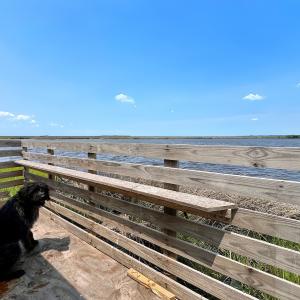 Photo #29 of Off Farrow Rd, Swan Quarter, NC 90.0 acres