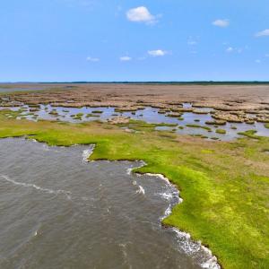 Photo #30 of Off Farrow Rd, Swan Quarter, NC 90.0 acres
