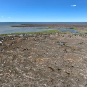 Photo #31 of Off Farrow Rd, Swan Quarter, NC 90.0 acres