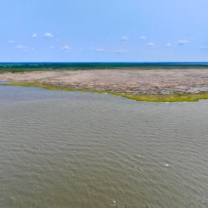 Photo #32 of Off Farrow Rd, Swan Quarter, NC 90.0 acres