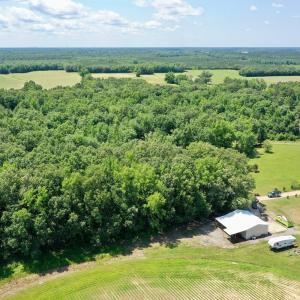 Photo #56 of 141 Arthur Majette Rd, Aulander, NC 22.0 acres