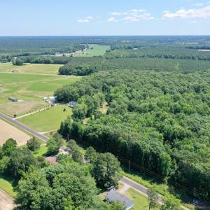 Photo #61 of 141 Arthur Majette Rd, Aulander, NC 22.0 acres