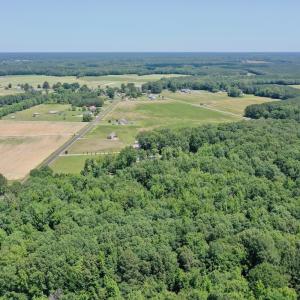 Photo #62 of 141 Arthur Majette Rd, Aulander, NC 22.0 acres