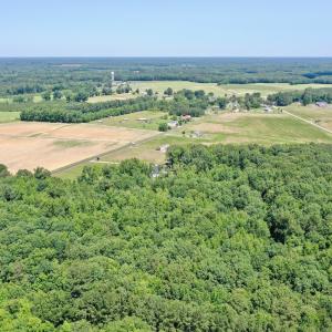 Photo #63 of 141 Arthur Majette Rd, Aulander, NC 22.0 acres