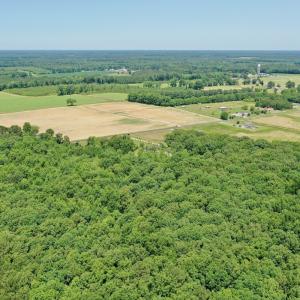 Photo #64 of 141 Arthur Majette Rd, Aulander, NC 22.0 acres