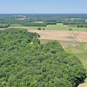 Photo #66 of 141 Arthur Majette Rd, Aulander, NC 22.0 acres
