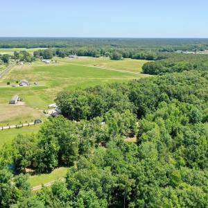 Photo #50 of 141 Arthur Majette Rd, Aulander, NC 22.0 acres