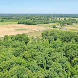 Photo #52 of 141 Arthur Majette Rd, Aulander, NC 22.0 acres