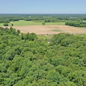 Photo #53 of 141 Arthur Majette Rd, Aulander, NC 22.0 acres