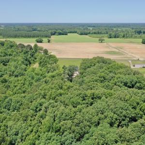 Photo #54 of 141 Arthur Majette Rd, Aulander, NC 22.0 acres