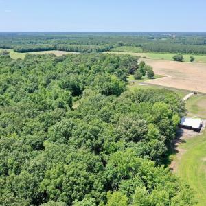Photo #55 of 141 Arthur Majette Rd, Aulander, NC 22.0 acres