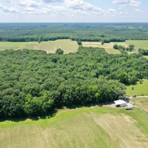 Photo #68 of 141 Arthur Majette Rd, Aulander, NC 22.0 acres