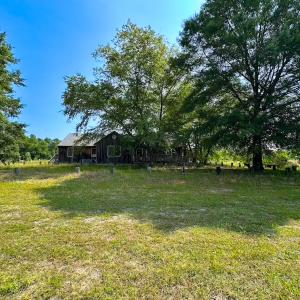 Photo #3 of 19585 Fullers Mill Rd, Boykins, VA 47.0 acres