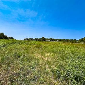 Photo #27 of 19585 Fullers Mill Rd, Boykins, VA 47.0 acres