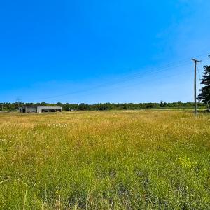 Photo #28 of 19585 Fullers Mill Rd, Boykins, VA 47.0 acres