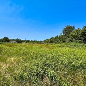 Photo #30 of 19585 Fullers Mill Rd, Boykins, VA 47.0 acres