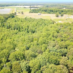 Photo #33 of 19585 Fullers Mill Rd, Boykins, VA 47.0 acres