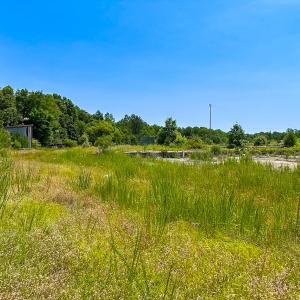 Photo #37 of 19585 Fullers Mill Rd, Boykins, VA 47.0 acres