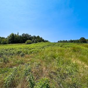 Photo #40 of 19585 Fullers Mill Rd, Boykins, VA 47.0 acres