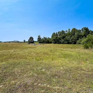 Photo #43 of 19585 Fullers Mill Rd, Boykins, VA 47.0 acres