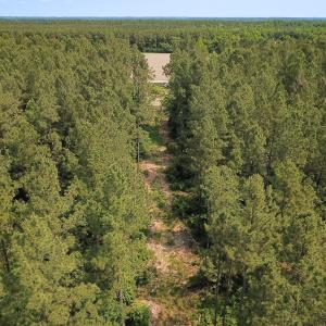 Photo #4 of Off Lebanon Church Rd, Jarratt, VA 38.0 acres