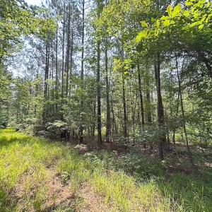 Photo #8 of Off Lebanon Church Rd, Jarratt, VA 38.0 acres