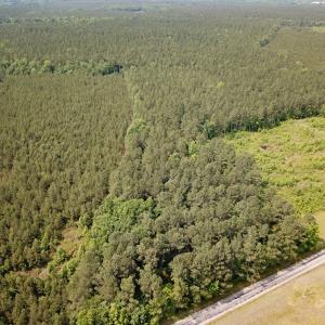 Photo #10 of Off Lebanon Church Rd, Jarratt, VA 38.0 acres