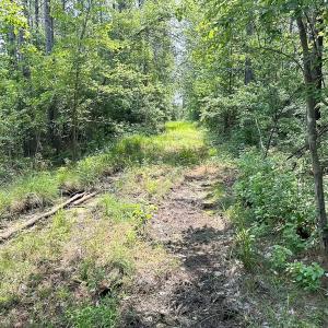 Photo #11 of Off Lebanon Church Rd, Jarratt, VA 38.0 acres