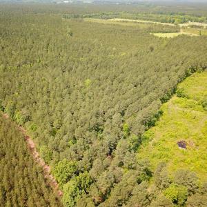 Photo #14 of Off Lebanon Church Rd, Jarratt, VA 38.0 acres