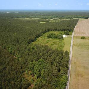 Photo #18 of Off Lebanon Church Rd, Jarratt, VA 38.0 acres