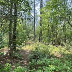 Photo #19 of Off Lebanon Church Rd, Jarratt, VA 38.0 acres