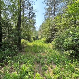 Photo #23 of Off Lebanon Church Rd, Jarratt, VA 38.0 acres