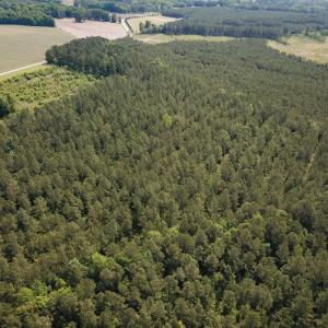 Photo #25 of Off Lebanon Church Rd, Jarratt, VA 38.0 acres