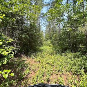 Photo #26 of Off Lebanon Church Rd, Jarratt, VA 38.0 acres