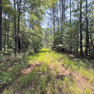 Photo #27 of Off Lebanon Church Rd, Jarratt, VA 38.0 acres