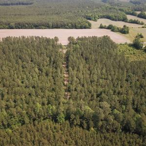 Photo #28 of Off Lebanon Church Rd, Jarratt, VA 38.0 acres