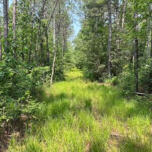 Photo #33 of Off Lebanon Church Rd, Jarratt, VA 38.0 acres