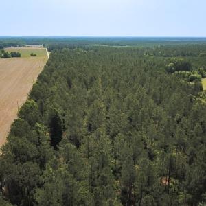Photo #34 of Off Lebanon Church Rd, Jarratt, VA 38.0 acres