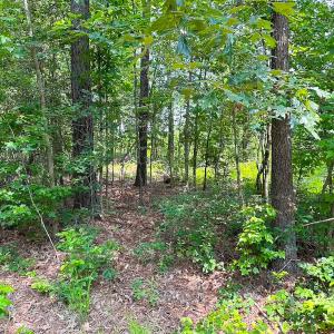 Photo #36 of Off Lebanon Church Rd, Jarratt, VA 38.0 acres